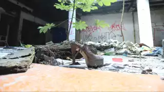 Cuando la protección se convierte en amenaza mortal, y nadie las auxilia