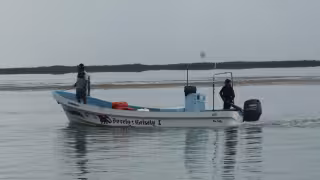 Captura ilegal y falta de control aceleran la caída de especies clave para la pesca ribereña en Yucatán