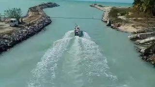 La pasividad de las autoridades está dañando la fauna