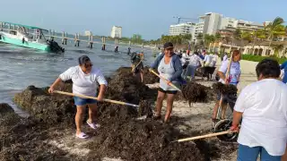 Recalan cerca de 300 toneladas de sargazo en la costa de Isla Mujeres