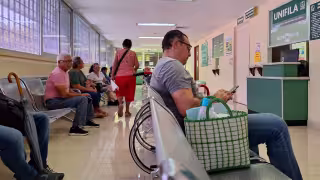 Confirman casos de leishmaniasis en Yucatán y activan alertas sanitarias en comunidades rurales