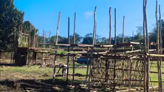 Corrida y tardeada marcarán la feria de la primavera en José María Morelos