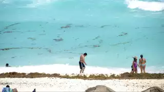 Según el titular de la red de monitoreo, para la actual temporada se prevé un aumento del 30% respecto a la cifra alcanzada el año pasado.