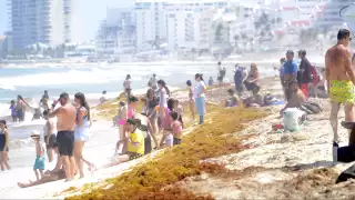En estas playas la cantidad de macroalga es más abundante