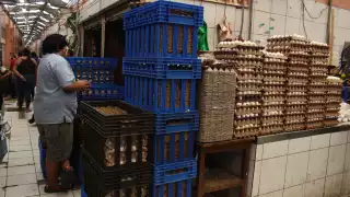 El precio de la proteína dorada registra un aumento significativo: alcanza hasta 100 pesos por reja