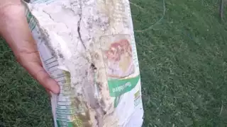 El DIF Municipal entregó a varios ciudadanos despensas echadas a perder