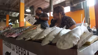 Contaminación petrolera aleja especies de escama en Campeche