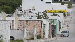 Tan solo en el Municipio han sido contabilizados más de 160 mil, revela la titular de Desarrollo Urbano