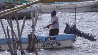 Pescadores reportan recuperación gradual tras los frentes fríos