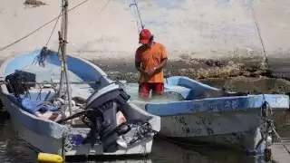 Reforzarán trabajos de inspección y vigilancia en la costa.