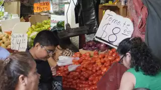 La reducción se atribuye a la menor superficie sembrada