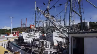 Congreso acusa omisión de Inpesca en crisis pesquera