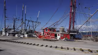 De 250 barcos camaroneros quedan solo 60 en Campeche
