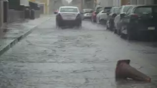 unto a Servicios Públicos trabajan en la limpieza de alcantarillas, drenajes y canales pluviales.