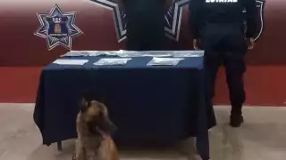 Debido a las señales del binomino "Boris", los elementos realizaron una inspección a las pertenencias