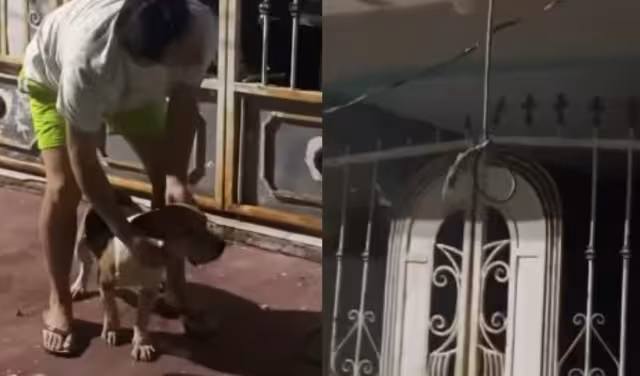 Residentes señalaron que el presunto responsable se dedica a la venta de perros