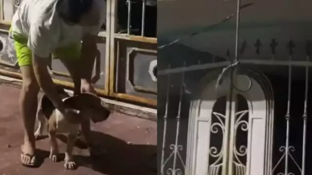 Residentes señalaron que el presunto responsable se dedica a la venta de perros