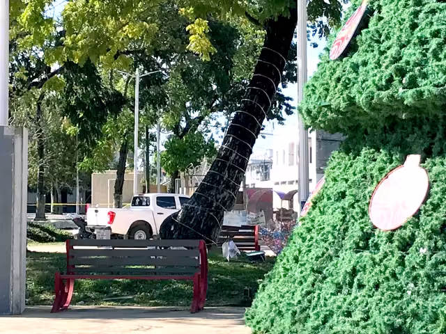 Quejosas lamentan la omisión de las autoridades para garantizarles seguridad