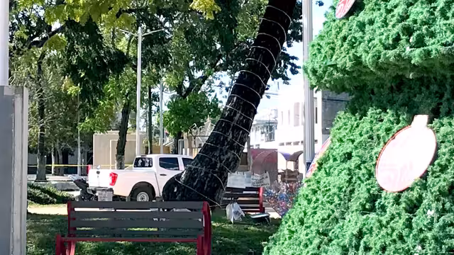 Quejosas lamentan la omisión de las autoridades para garantizarles seguridad