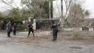 Yucatán, en Alerta Amarilla tras el paso de Beryl