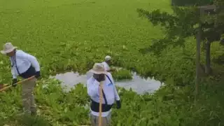 Plata de tratamiento no funciona apropiadamente, causando contaminación innecesaria.
