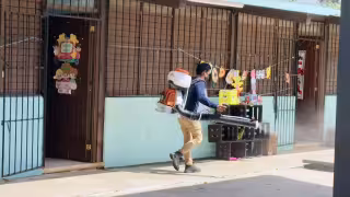 Con apenas 9 casos este año, Yucatán atraviesa uno de sus periodos de menor incidencia