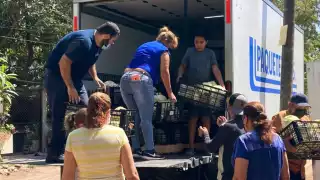 El padrón de beneficiarios del BAM supera las 33 mil personas y se encuentra en constante expansión