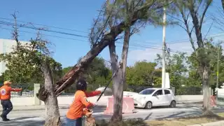Más de 12 afectaciones por frente frío 24