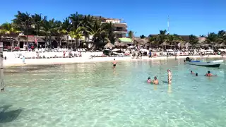 Profepa inspecciona zona de construcción de “Perfect Day México” en Mahahual