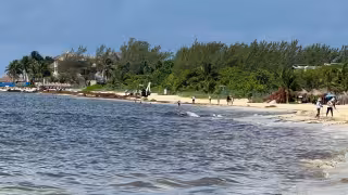 Mar devora Yucatán: en cuatro décadas, la costa perdió hasta 100 metros de playa