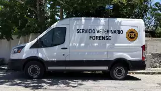 Las autoridades ministeriales iniciaron las diligencias correspondientes