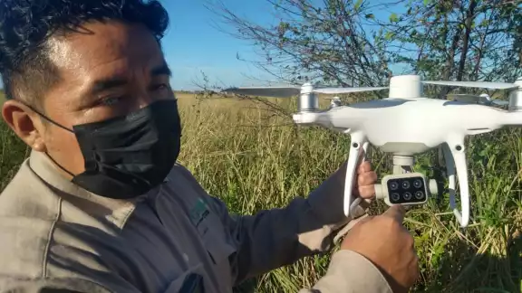 Utilizan drones para monitorear y atacar manchones que representaban un riesgo en la agricultura Utilizan drones para monitorear y atacar manchones que representaban un riesgo en la agricultura