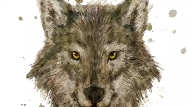 EL BRILLO EN LA OSCURIDAD