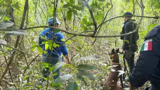 Más de 30  fichas de búsqueda de personas desaparecidas siguen activas en Quintana Roo: FGE