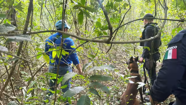En lo que va del año, encontraron a seis individuos muertos, la mayoría, en la zona norte
