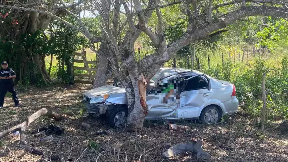 El chofer del automóvil perdió la vida tras el choque