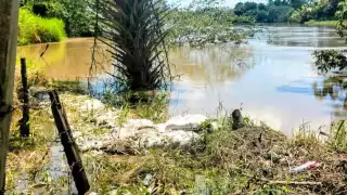 Habitantes de El Salto, en Palizada, alertan sobre el posible desbordamiento del río.