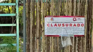 Inspectores federales detectaron construcciones sin Manifestación de Impacto Ambiental (MIA).