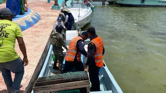 Se encontraron especies cuya captura es ilegal en la embarcación Se encontraron especies cuya captura es ilegal en la embarcación