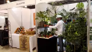 Inauguran la Expo Foro Ambiental en Mérida