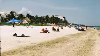 En 2019, se dio a conocer que el 50% de los arenales del estado ya estaban afectados