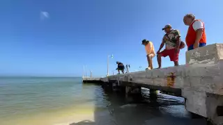 En el puerto se logró constatar la presencia de peces muertos o en agonía, el cambio de la tonalidad del mar, así como una escasa afluencia turística