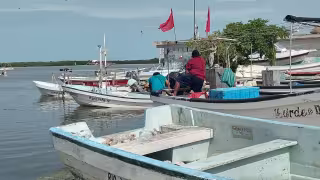 Endurecen combate a la pesca furtiva en Yucatán; infractores podrían ir a prisión