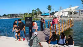 Conoce las actividades gratis del Parque La Plancha de Mérida: Consulta los días y horarios