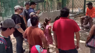 ¿Qué pasó con el único zoológico de Campeche? Así desapareció el recinto