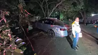 Debido al exceso de velocidad, el conductor chocó contra un árbol, dañando los cables de luz