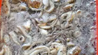 Ir en busca del molusco ya no es redituable para quienes viven del producto del mar.