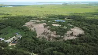 Cenotes y lagunas de Cancún al borde del colapso; detectan altos niveles de coliformes fecales  