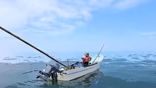 Récords de captura, presencia global y una amenaza persistente: la pesca yucateca vive momento decisivo