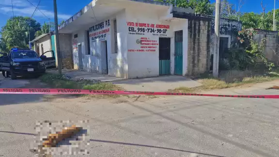 Por tercera ocasión, habitantes reportan actos de crueldad animal en Tekax Por tercera ocasión, habitantes reportan actos de crueldad animal en Tekax